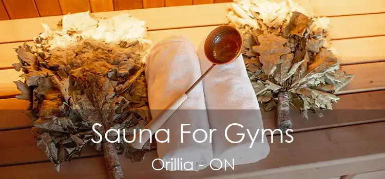  Sauna For Gyms Orillia - ON